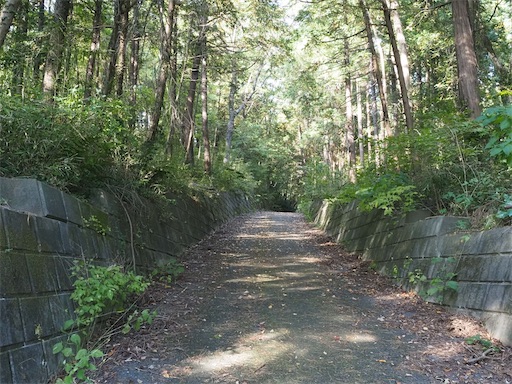 桜山展望台に向かっています。