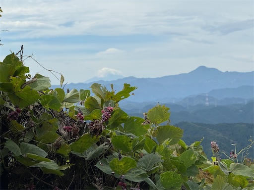 高指山からの景色
