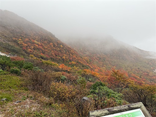 f:id:hiroko_ny:20260113200205j:image