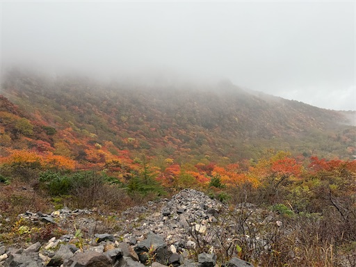 f:id:hiroko_ny:20260113200208j:image