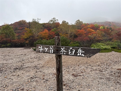 f:id:hiroko_ny:20260113200211j:image
