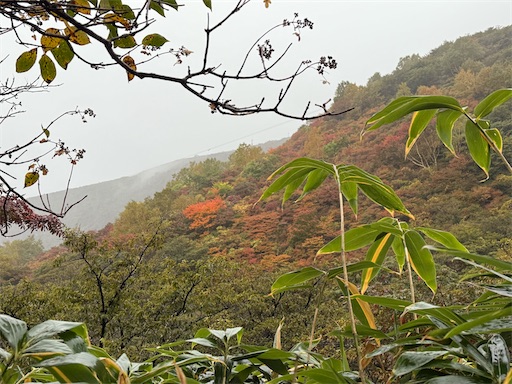 f:id:hiroko_ny:20260113200218j:image
