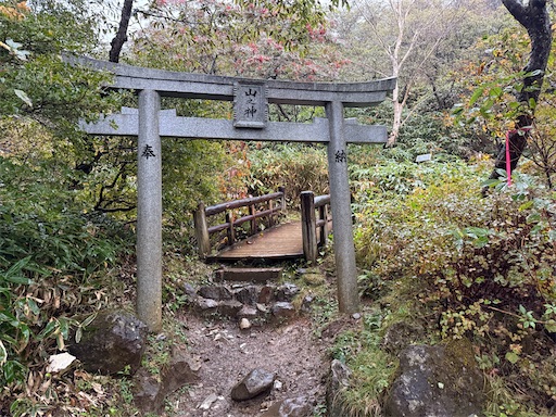 f:id:hiroko_ny:20260113200243j:image