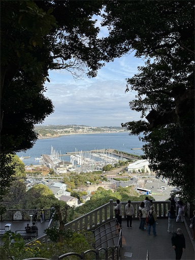 f:id:hiroko_ny:20260119203606j:image