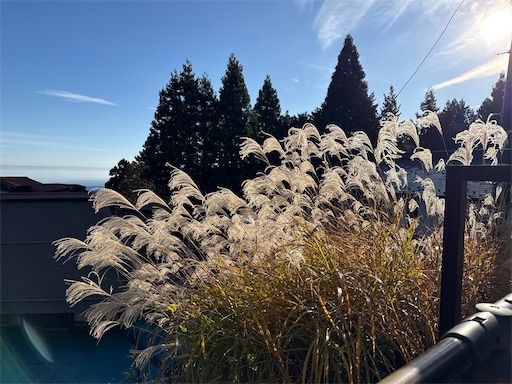 f:id:hiroko_ny:20260125233320j:image
