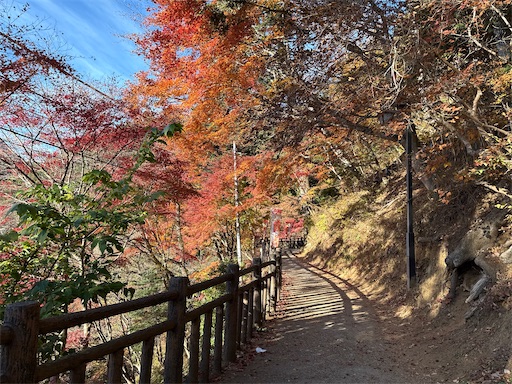 f:id:hiroko_ny:20260125233349j:image