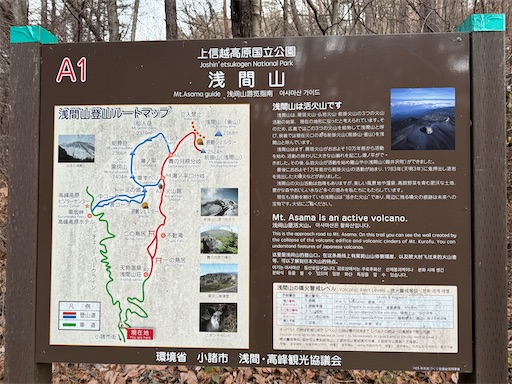 f:id:hiroko_ny:20260127195800j:image