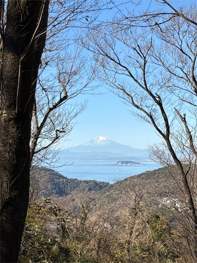 f:id:hiroko_ny:20260206200842j:image f:id:hiroko_ny:20260206200842j:image