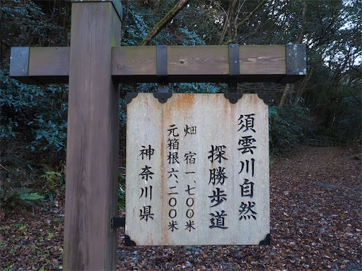 f:id:hiroko_ny:20260210202432j:image f:id:hiroko_ny:20260210202432j:image
