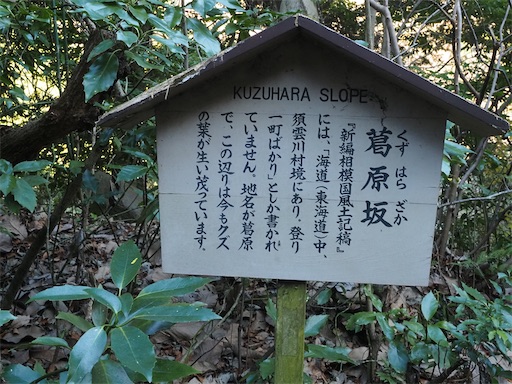 f:id:hiroko_ny:20260210202455j:image f:id:hiroko_ny:20260210202455j:image