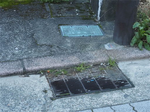 f:id:hiroko_ny:20260210202500j:image f:id:hiroko_ny:20260210202500j:image