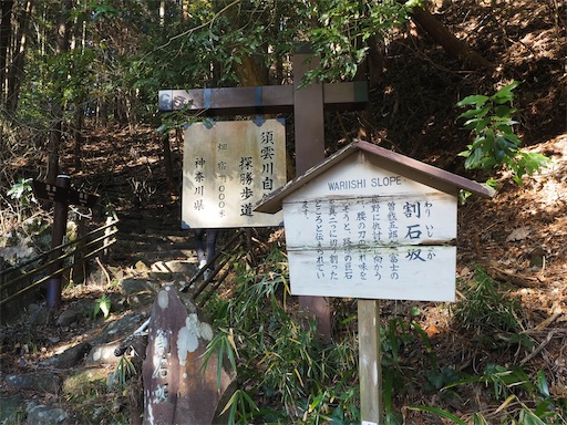 f:id:hiroko_ny:20260210202503j:image f:id:hiroko_ny:20260210202503j:image