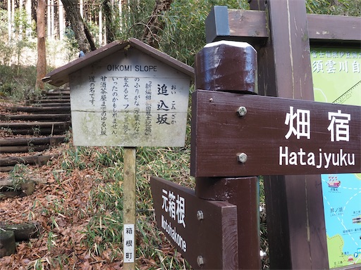f:id:hiroko_ny:20260210202531j:image f:id:hiroko_ny:20260210202531j:image