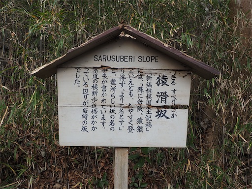 f:id:hiroko_ny:20260210202535j:image f:id:hiroko_ny:20260210202535j:image