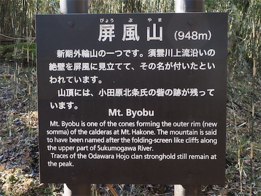 f:id:hiroko_ny:20260210202540j:image f:id:hiroko_ny:20260210202540j:image