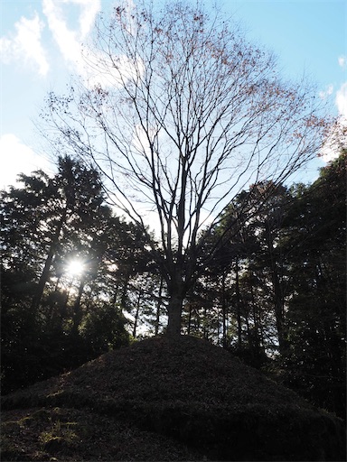 f:id:hiroko_ny:20260210212809j:image f:id:hiroko_ny:20260210212809j:image