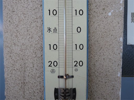 f:id:hiroko_ny:20260218200640j:image f:id:hiroko_ny:20260218200640j:image