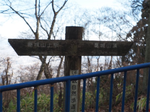 f:id:hiroko_ny:20260218200649j:image f:id:hiroko_ny:20260218200649j:image