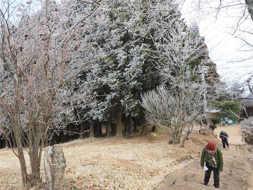 f:id:hiroko_ny:20260218200702j:image f:id:hiroko_ny:20260218200702j:image
