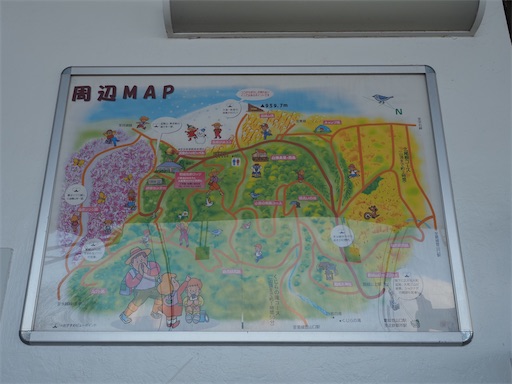f:id:hiroko_ny:20260218200708j:image f:id:hiroko_ny:20260218200708j:image