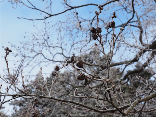 f:id:hiroko_ny:20260218200716j:image f:id:hiroko_ny:20260218200716j:image