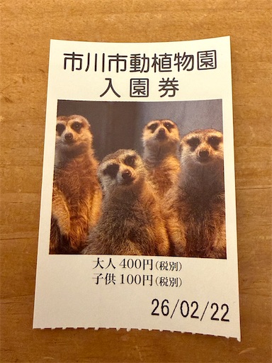 f:id:hiroko_ny:20260227202317j:image f:id:hiroko_ny:20260227202317j:image
