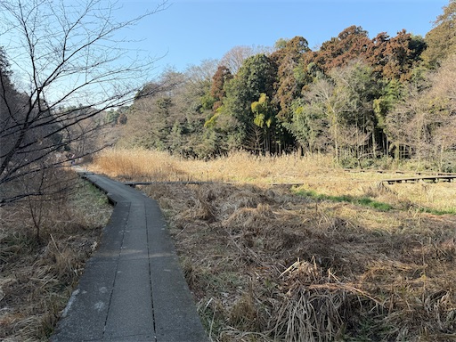 f:id:hiroko_ny:20260227220814j:image f:id:hiroko_ny:20260227220814j:image
