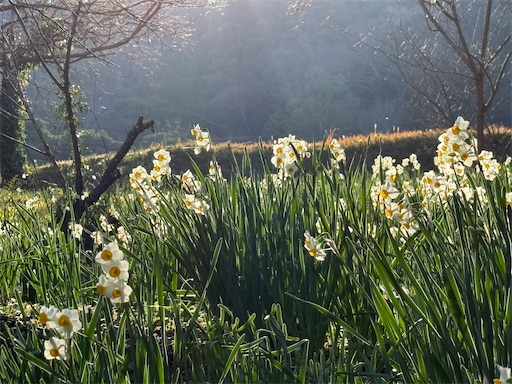 f:id:hiroko_ny:20260310205027j:image f:id:hiroko_ny:20260310205027j:image