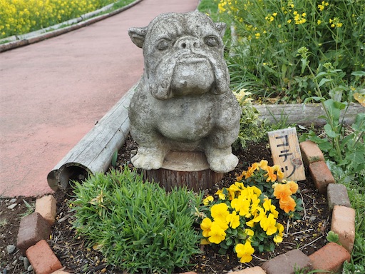 f:id:hiroko_ny:20260325203359j:image
