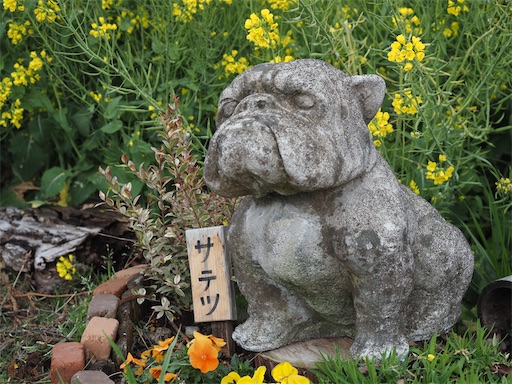f:id:hiroko_ny:20260325203419j:image