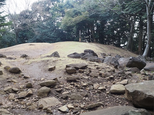 f:id:hiroko_ny:20260325203425j:image