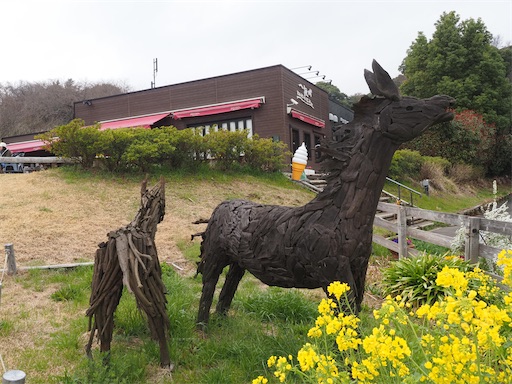 f:id:hiroko_ny:20260325203446j:image