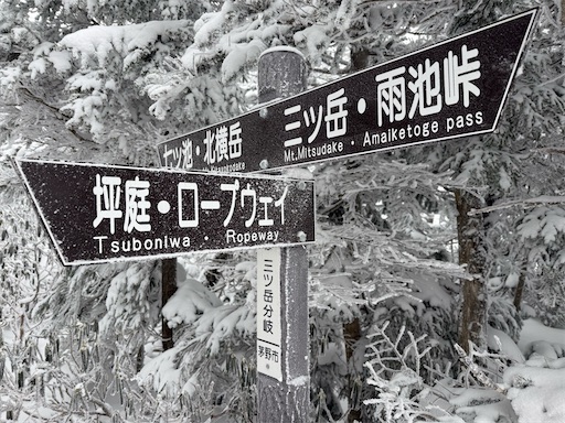 f:id:hiroko_ny:20260407200159j:image
