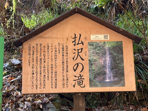 f:id:hiroko_ny:20260425234800j:image