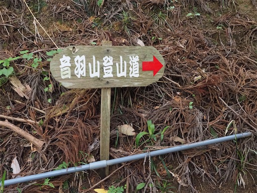 f:id:hiroko_ny:20260603235913j:image
