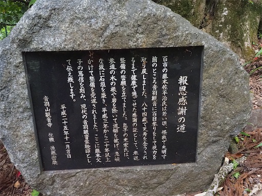 f:id:hiroko_ny:20260603235920j:image