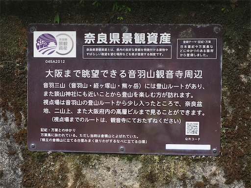 f:id:hiroko_ny:20260603235950j:image