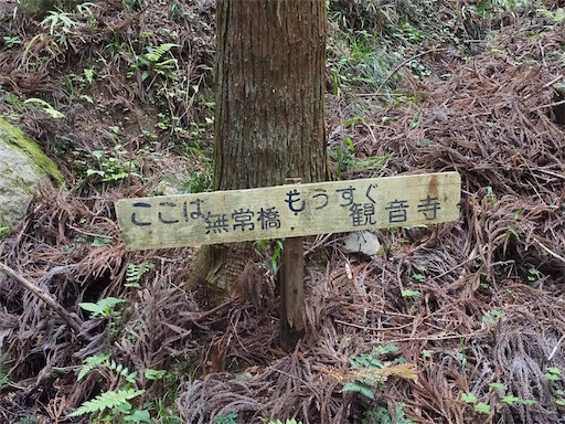 f:id:hiroko_ny:20260603235959j:image