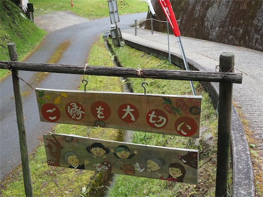 f:id:hiroko_ny:20260604000817j:image