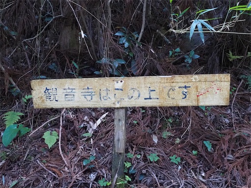 f:id:hiroko_ny:20260604000831j:image