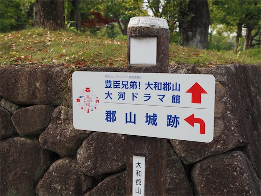 f:id:hiroko_ny:20260716211148j:image