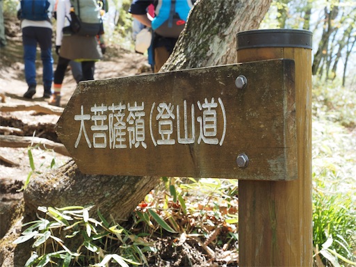 f:id:hiroko_ny:20260801202046j:image f:id:hiroko_ny:20260801202046j:image