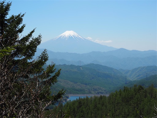 f:id:hiroko_ny:20260801202049j:image f:id:hiroko_ny:20260801202049j:image