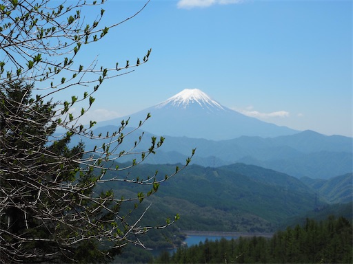 f:id:hiroko_ny:20260801202104j:image f:id:hiroko_ny:20260801202104j:image