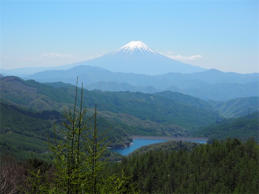 f:id:hiroko_ny:20260801202112j:image f:id:hiroko_ny:20260801202112j:image