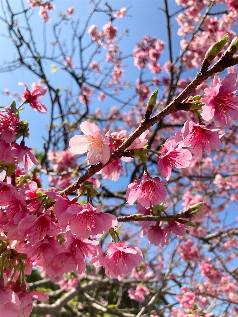 f:id:hirokoa:20260222161852j:image f:id:hirokoa:20260222161852j:image