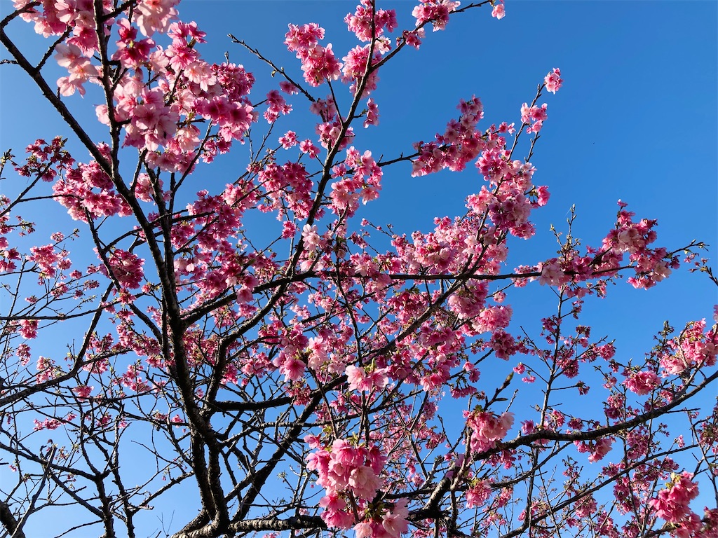 f:id:hirokoa:20260222161859j:image f:id:hirokoa:20260222161859j:image