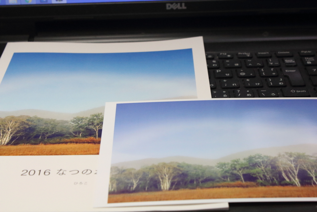 f:id:hirokows:20161117214341j:plain f:id:hirokows:20161117214341j:plain