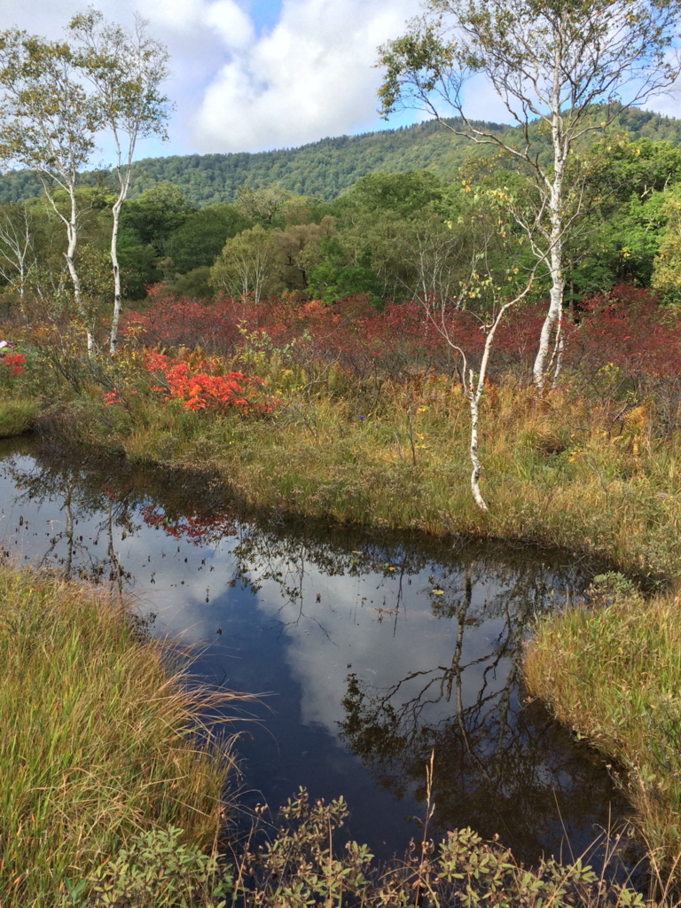 f:id:hirokows:20161117214437j:plain f:id:hirokows:20161117214437j:plain