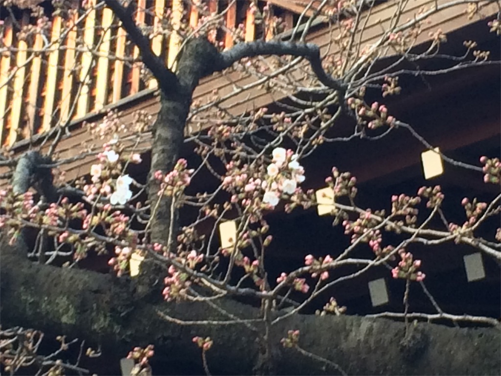 f:id:hirokows:20170322180104j:plain f:id:hirokows:20170322180104j:plain